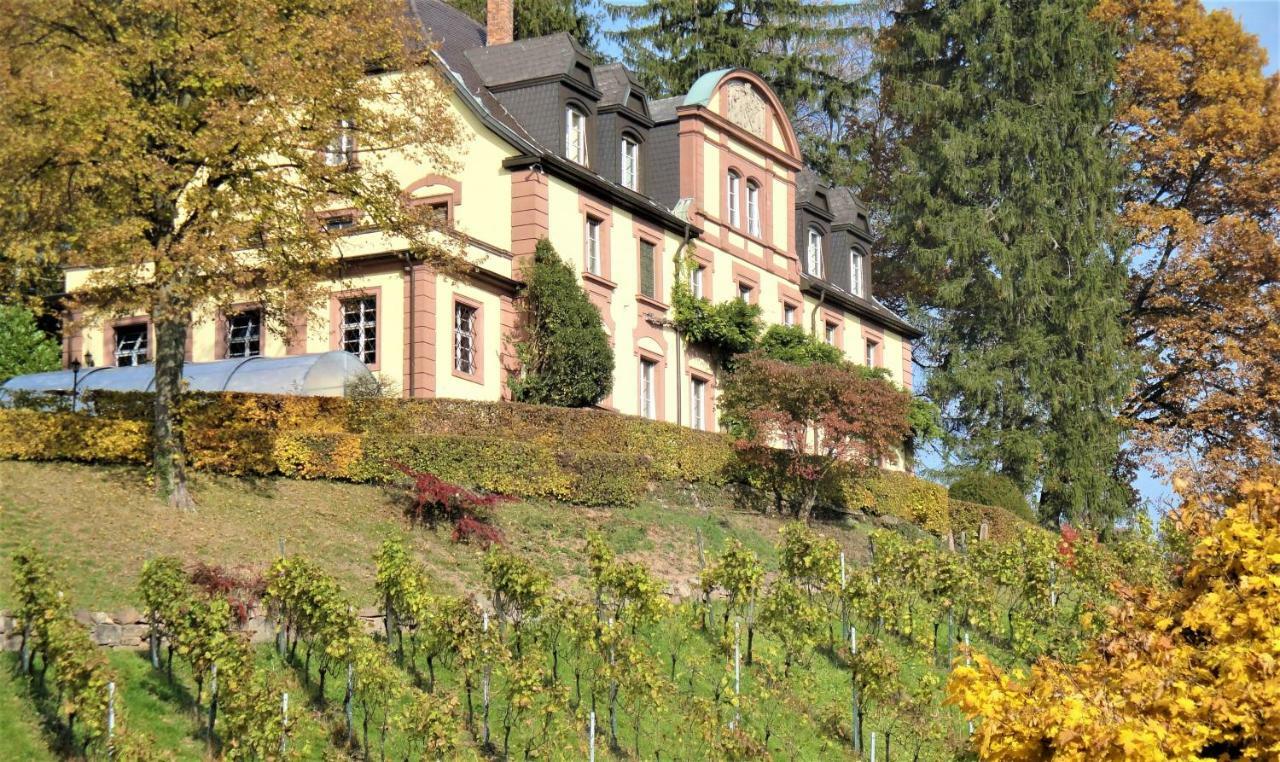 Wein Lodge Durbach - Josephsberg Exterior foto
